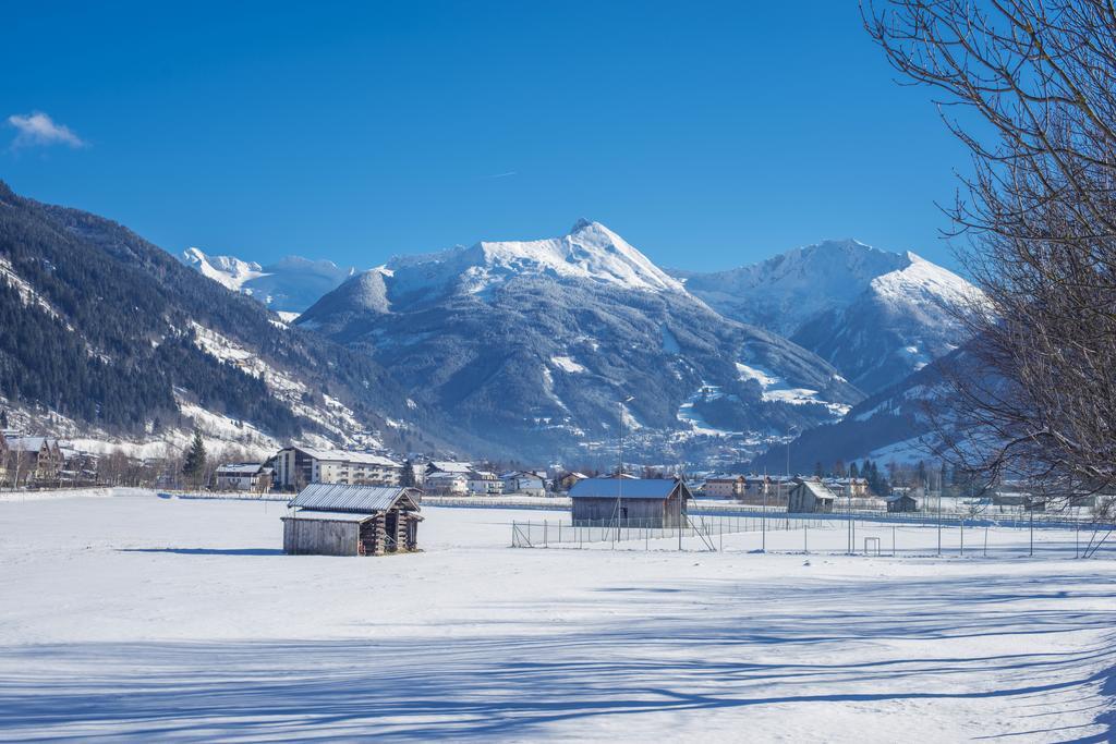 Kendlgut Am Biobauernhof Inklusive Unbegrenztem Eintritt In Alpentherme Appartement Bad Hofgastein