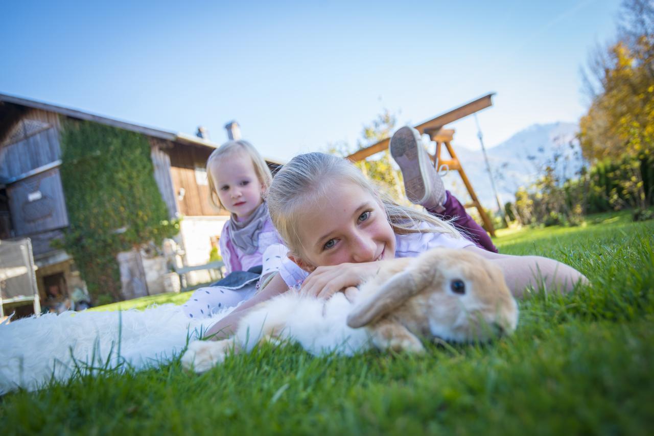 Appartement Kendlgut Am Biobauernhof Inklusive Unbegrenztem Eintritt In Alpentherme Bad Hofgastein