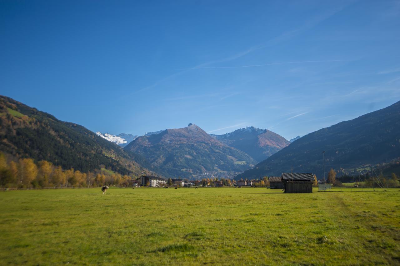Kendlgut Am Biobauernhof Inklusive Unbegrenztem Eintritt In Alpentherme * Bad Hofgastein