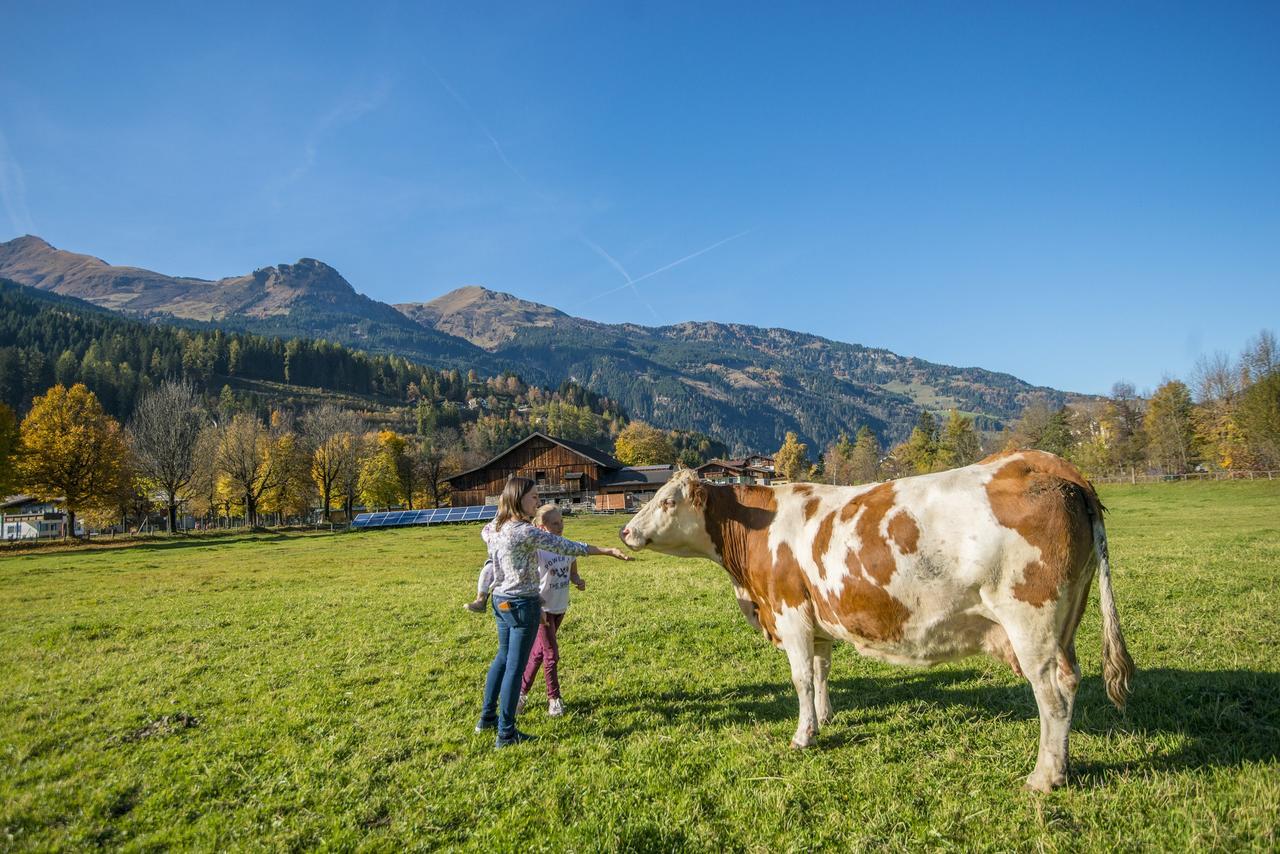 Appartement Kendlgut Am Biobauernhof Inklusive Unbegrenztem Eintritt In Alpentherme