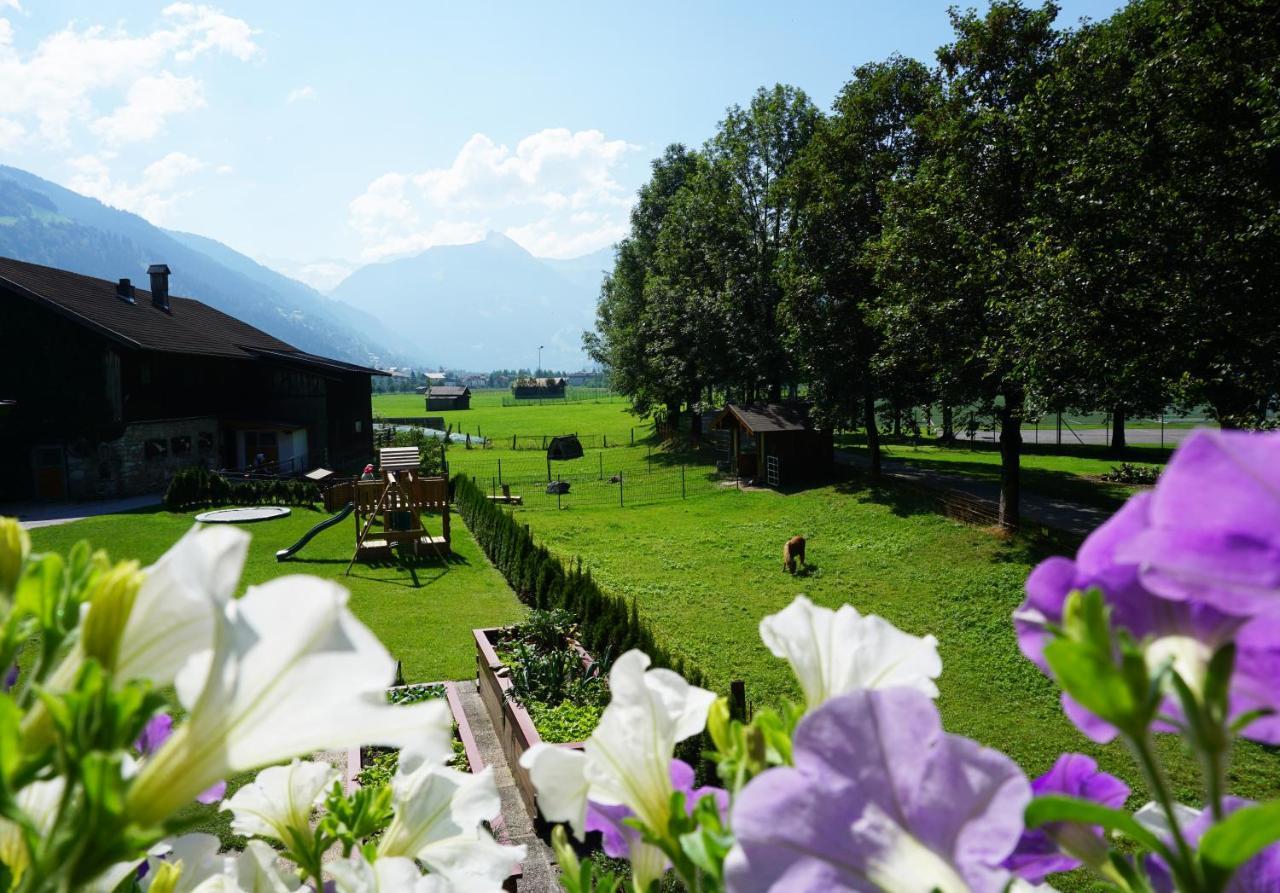 Kendlgut Am Biobauernhof Inklusive Unbegrenztem Eintritt In Alpentherme Appartement Bad Hofgastein