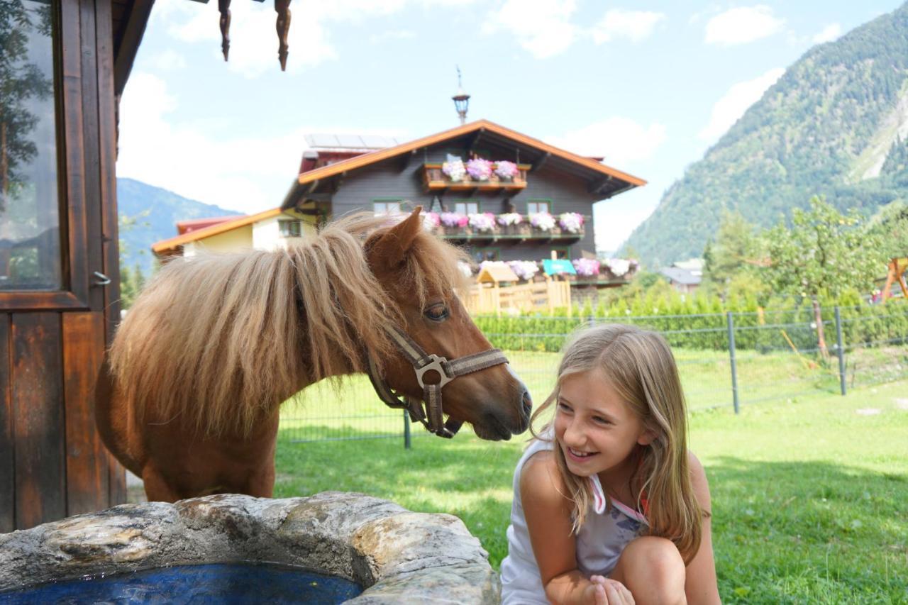 Appartement Kendlgut Am Biobauernhof Inklusive Unbegrenztem Eintritt In Alpentherme Bad Hofgastein