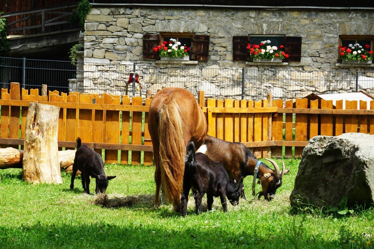 Appartement Kendlgut Am Biobauernhof Inklusive Unbegrenztem Eintritt In Alpentherme *