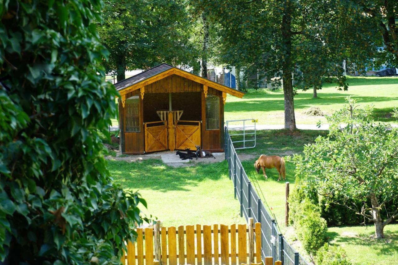 Kendlgut Am Biobauernhof Inklusive Unbegrenztem Eintritt In Alpentherme Bad Hofgastein