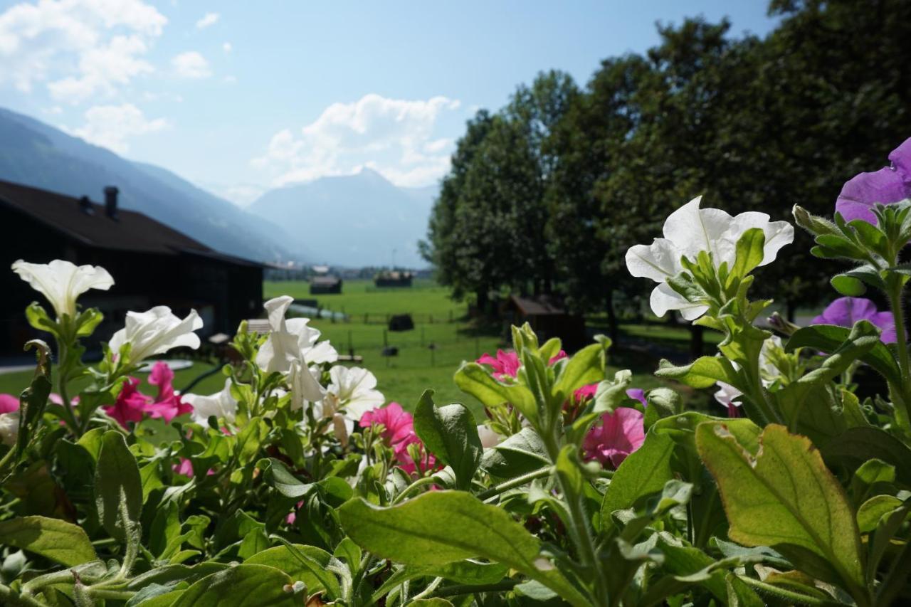 Kendlgut Am Biobauernhof Inklusive Unbegrenztem Eintritt In Alpentherme * Bad Hofgastein